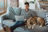 student using laptop on sofa