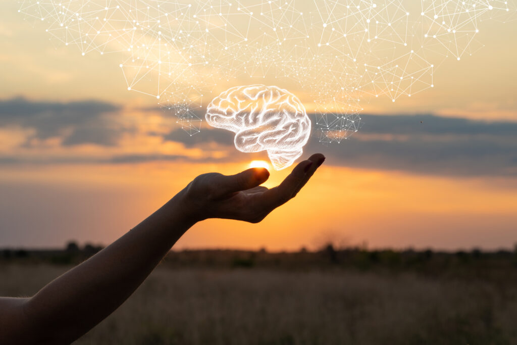 hand holding brain with sunset background